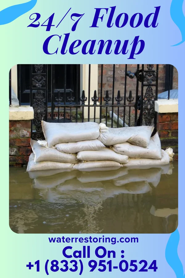 24/7 Flood Cleanup in Ramtown, NJ