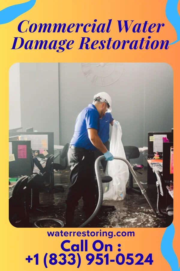 Commercial Water Damage Restoration in Ramtown, NJ