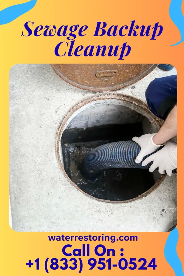 Sewage Backup Cleanup in Ramtown, NJ