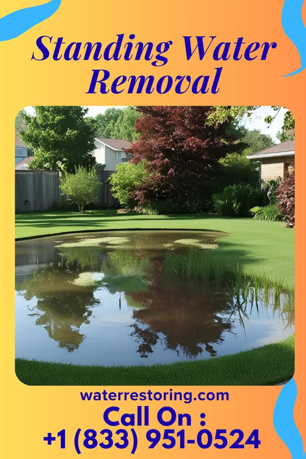 Standing Water Removal in Ramtown, NJ